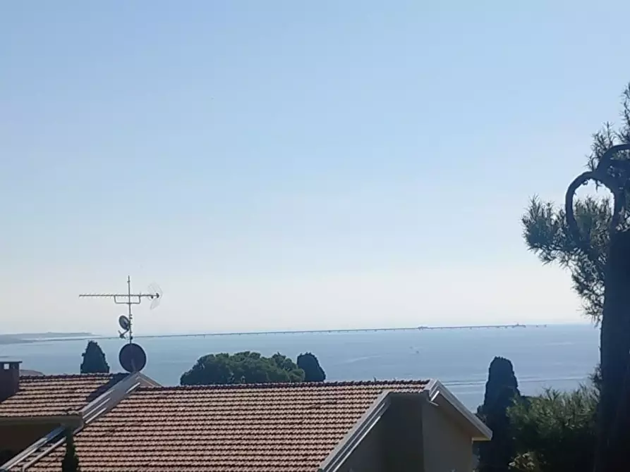 Immagine 42 di Appartamento in vendita  a Rosignano Marittimo