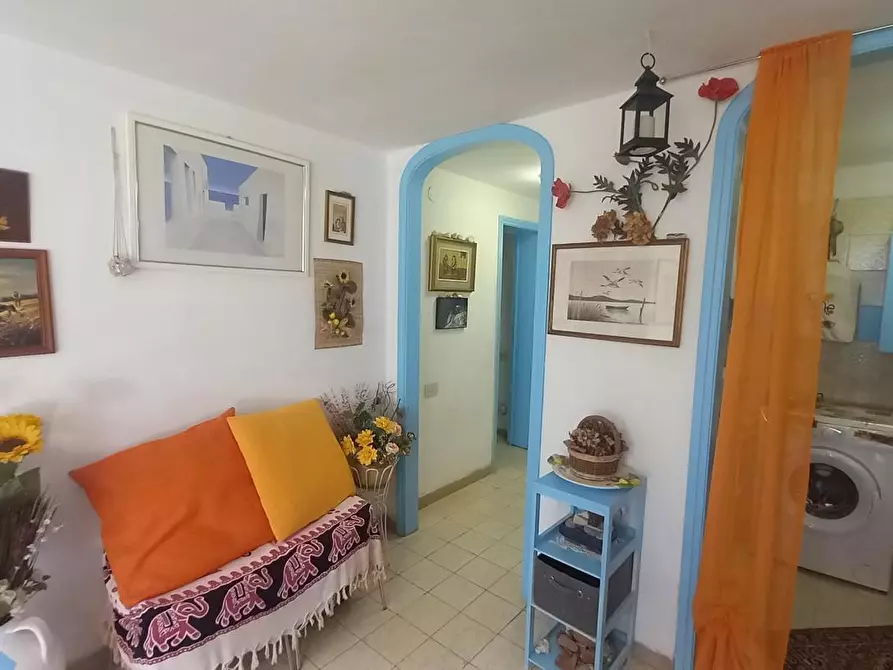 Immagine 15 di Appartamento in vendita  a Rosignano Marittimo