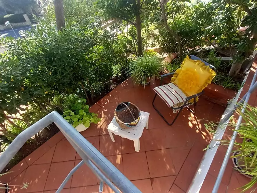 Immagine 41 di Appartamento in vendita  a Rosignano Marittimo
