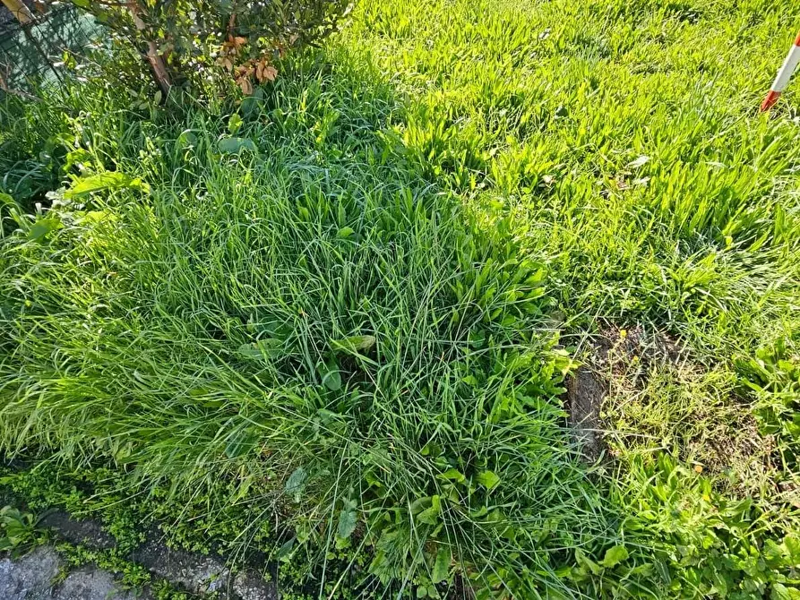 Immagine 31 di Appartamento in vendita  a Cascina