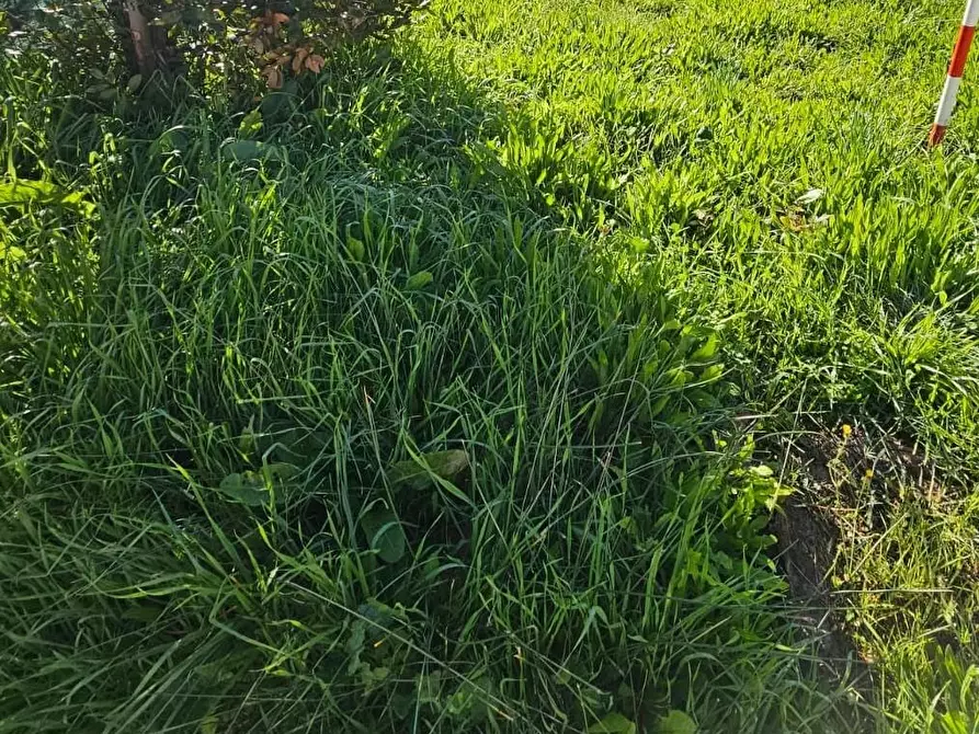 Immagine 30 di Appartamento in vendita  a Cascina