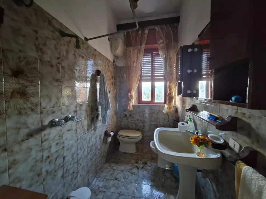 Immagine 40 di Casa colonica in vendita  a Campiglia Marittima