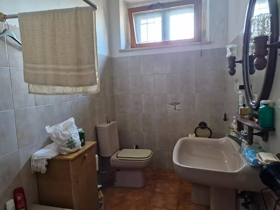 Immagine 20 di Casa colonica in vendita  a Campiglia Marittima