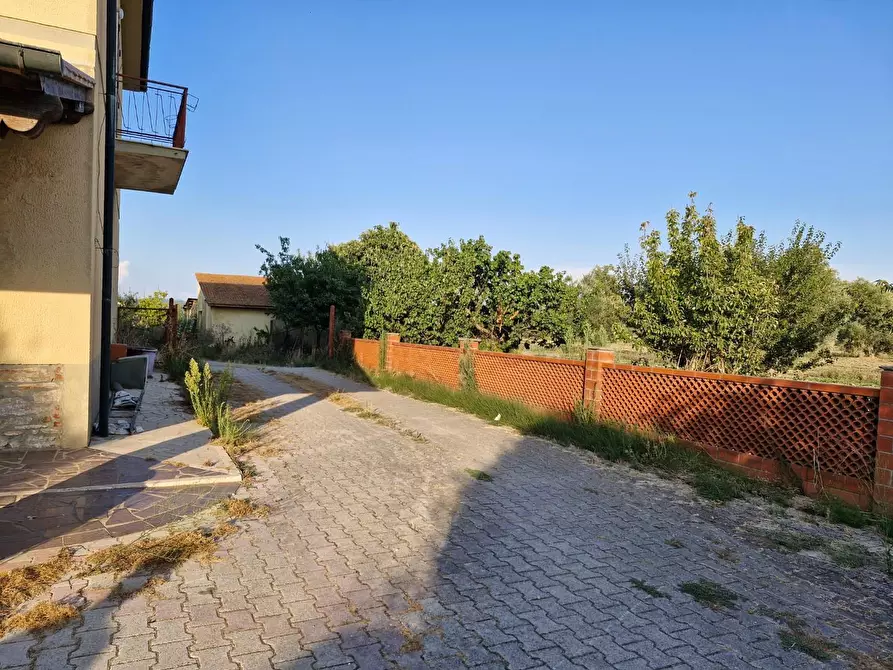 Immagine 2 di Casa colonica in vendita  a Campiglia Marittima