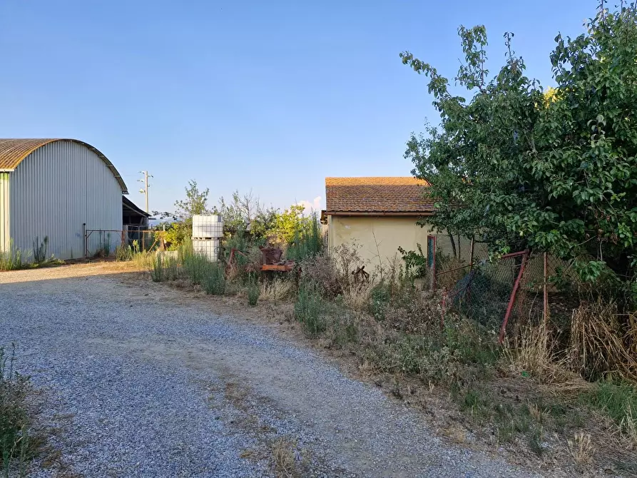 Immagine 3 di Casa colonica in vendita  a Campiglia Marittima