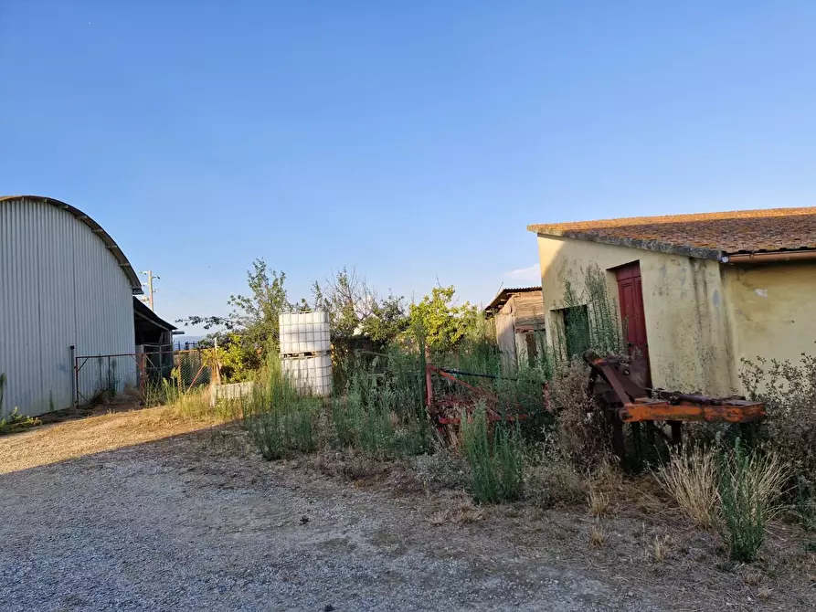 Immagine 5 di Casa colonica in vendita  a Campiglia Marittima