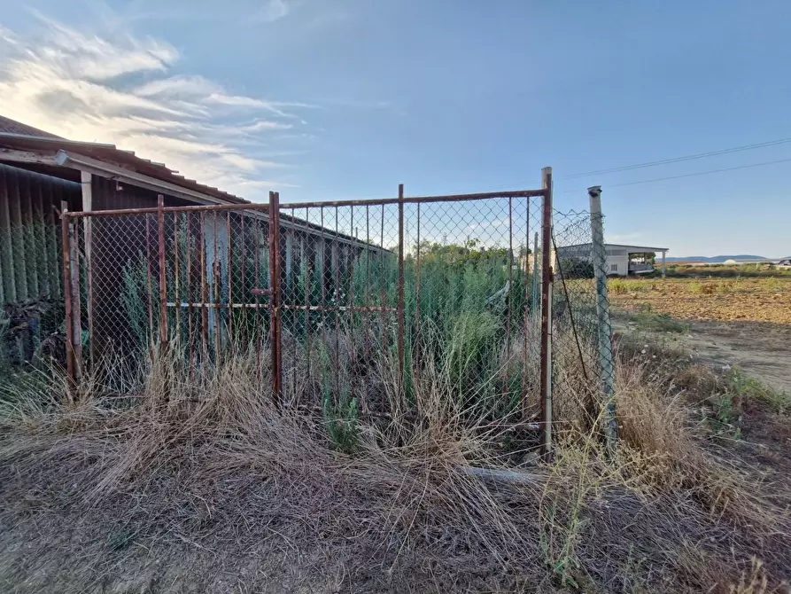 Immagine 10 di Casa colonica in vendita  a Campiglia Marittima
