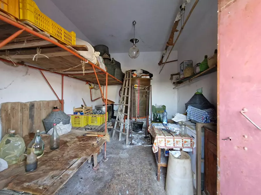 Immagine 19 di Casa colonica in vendita  a Campiglia Marittima