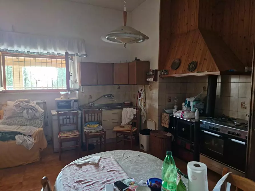 Immagine 24 di Casa colonica in vendita  a Campiglia Marittima