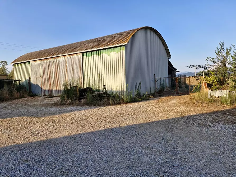 Immagine 6 di Casa colonica in vendita  a Campiglia Marittima