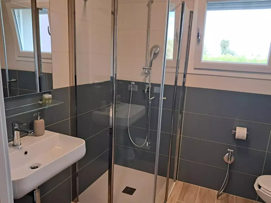 Immagine 11 di Appartamento in affitto  a Pisa