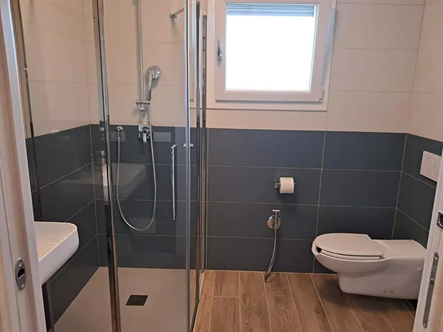 Immagine 14 di Appartamento in affitto  a Pisa