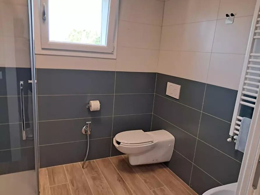 Immagine 15 di Appartamento in affitto  a Pisa