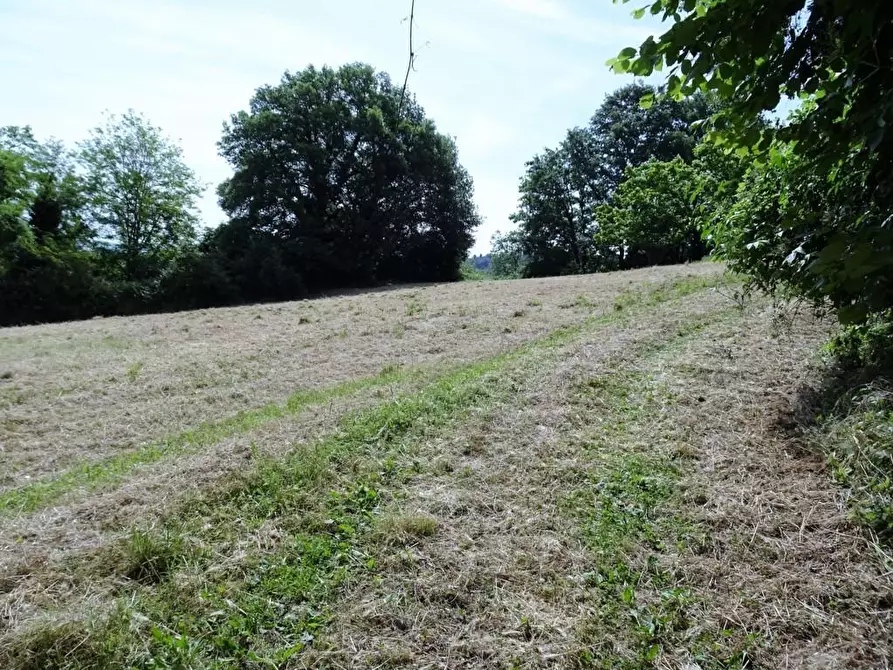 Immagine 9 di Terreno agricolo in vendita  a Poggibonsi
