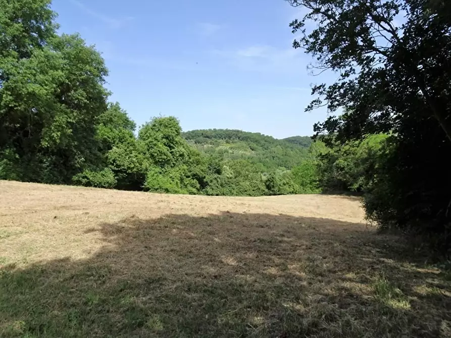 Immagine 8 di Terreno agricolo in vendita  a Poggibonsi