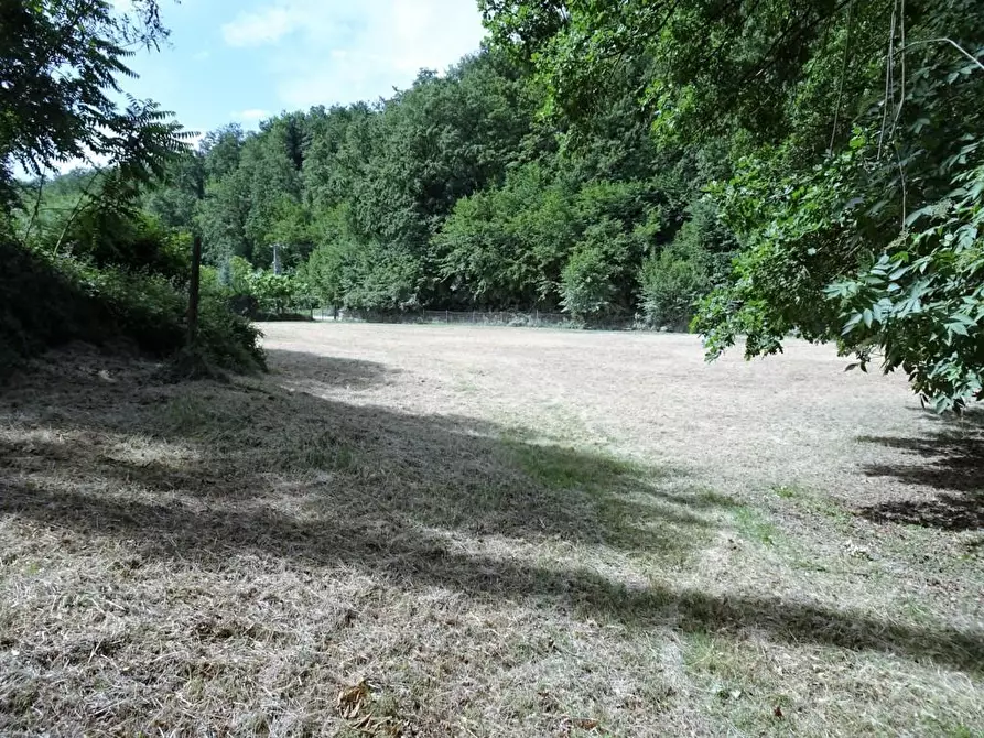 Immagine 6 di Terreno agricolo in vendita  a Poggibonsi