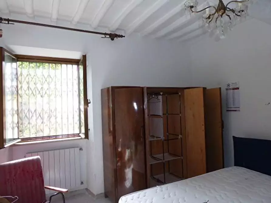 Immagine 8 di Terratetto in vendita  a Vecchiano