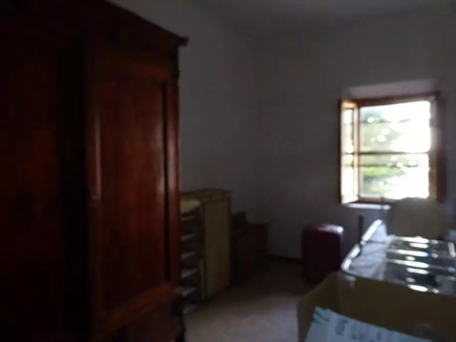 Immagine 12 di Terratetto in vendita  a Vecchiano