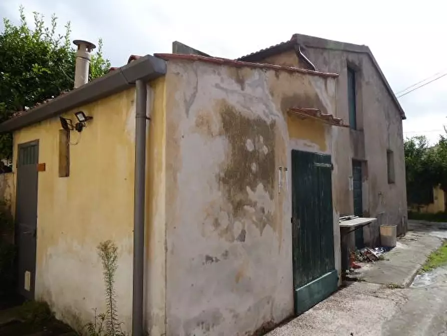 Immagine 4 di Terratetto in vendita  a Vecchiano