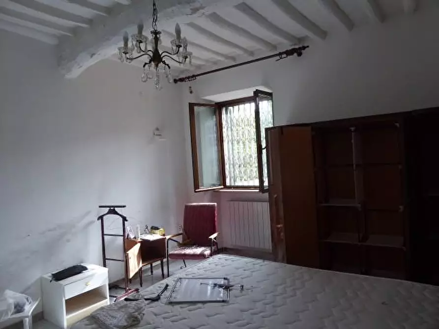 Immagine 7 di Terratetto in vendita  a Vecchiano