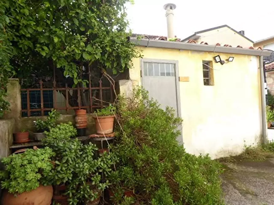 Immagine 6 di Terratetto in vendita  a Vecchiano