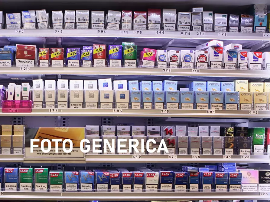 Immagine 3 di Bar / Ristorante in vendita  a San Miniato