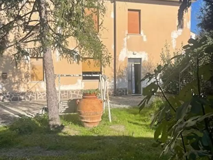 Immagine 21 di Terratetto in vendita  a Capannoli