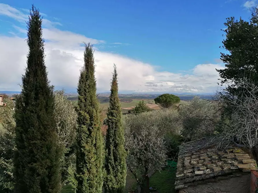 Immagine 5 di Negozio in vendita  a Murlo