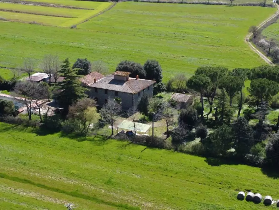 Immagine 6 di Rustico / casale in vendita  a Casole D'elsa