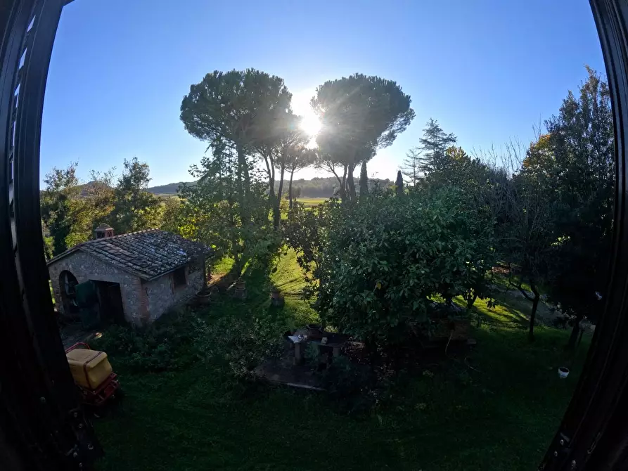 Immagine 20 di Rustico / casale in vendita  a Casole D'elsa