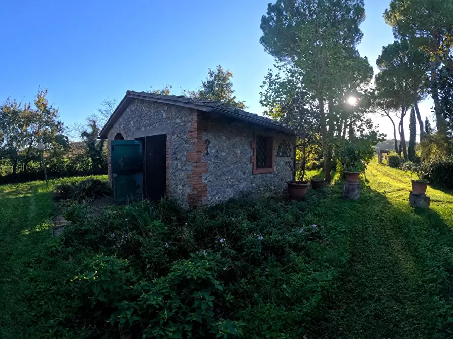Immagine 18 di Rustico / casale in vendita  a Casole D'elsa