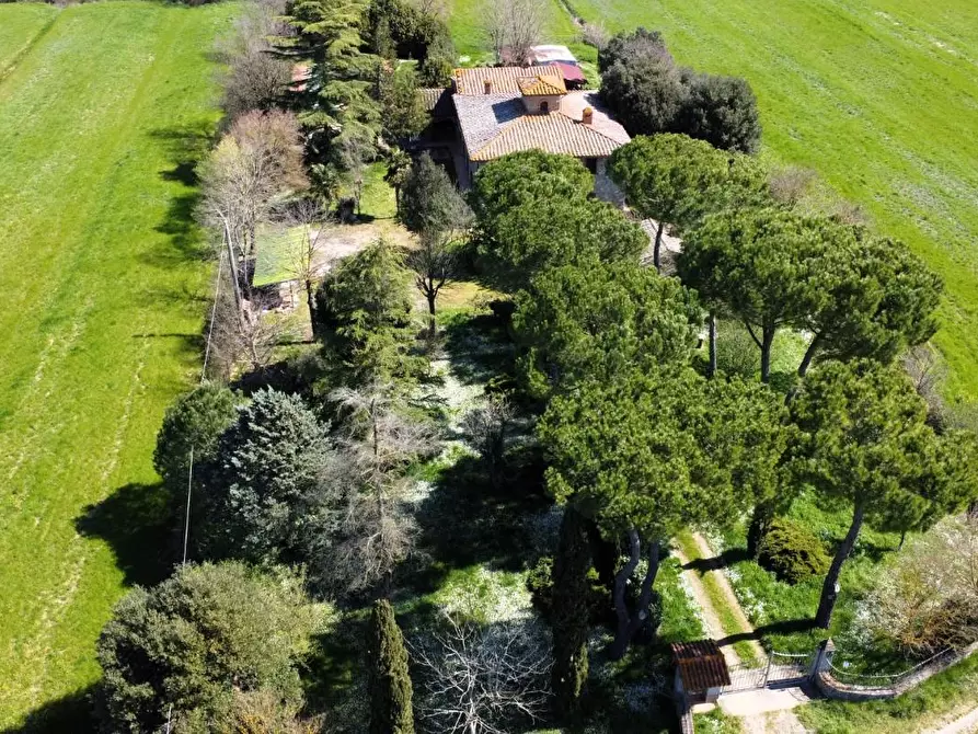 Immagine 8 di Rustico / casale in vendita  a Casole D'elsa