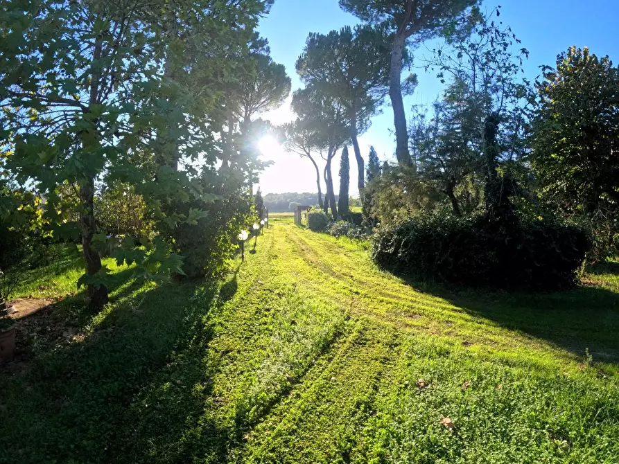 Immagine 19 di Rustico / casale in vendita  a Casole D'elsa