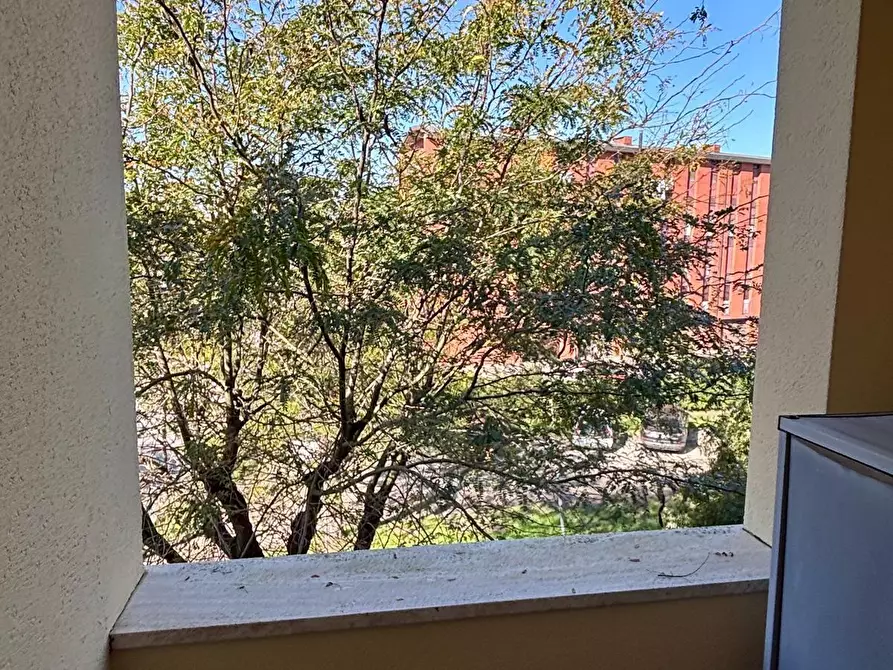 Immagine 6 di Appartamento in vendita  a Pontedera