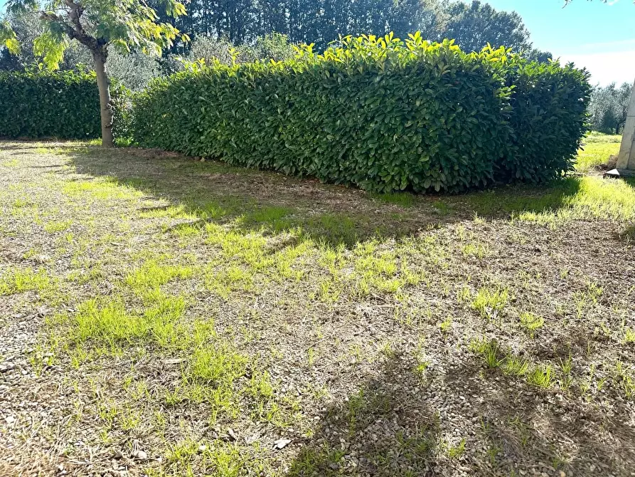 Immagine 1 di Casa indipendente in vendita  a Empoli