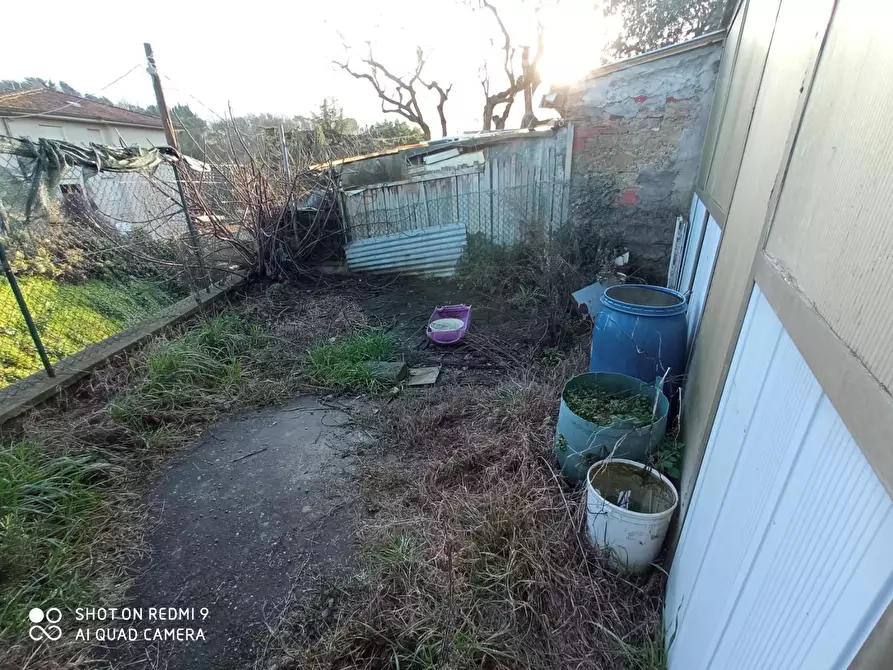 Immagine 19 di Terratetto in vendita  a San Miniato