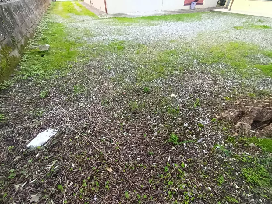 Immagine 2 di Appartamento in vendita  a Lucca