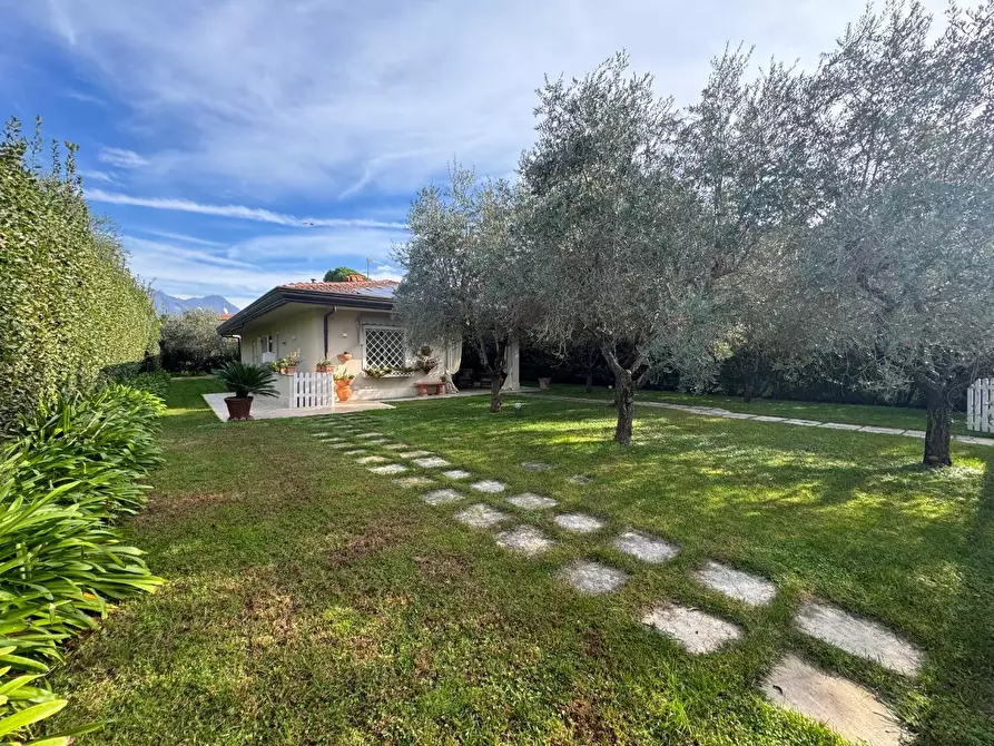 Immagine 48 di Villa in affitto  a Forte Dei Marmi