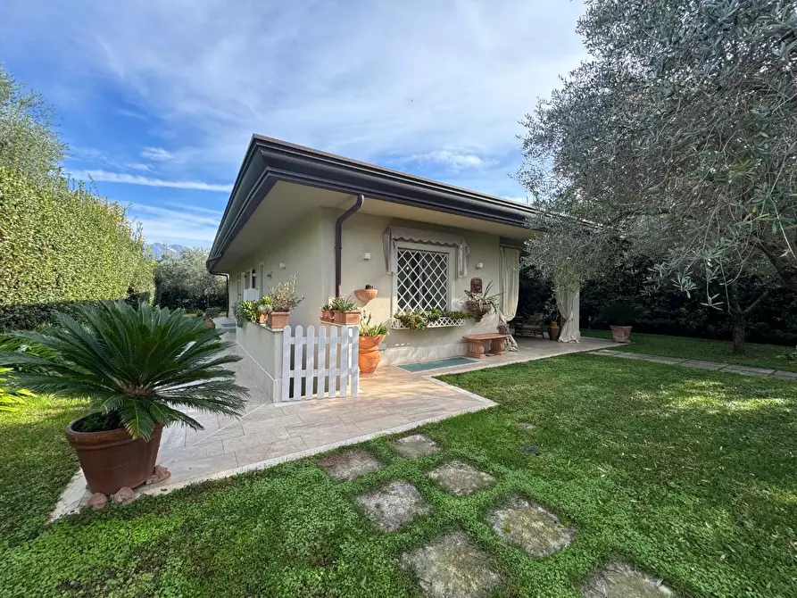 Immagine 47 di Villa in affitto  a Forte Dei Marmi