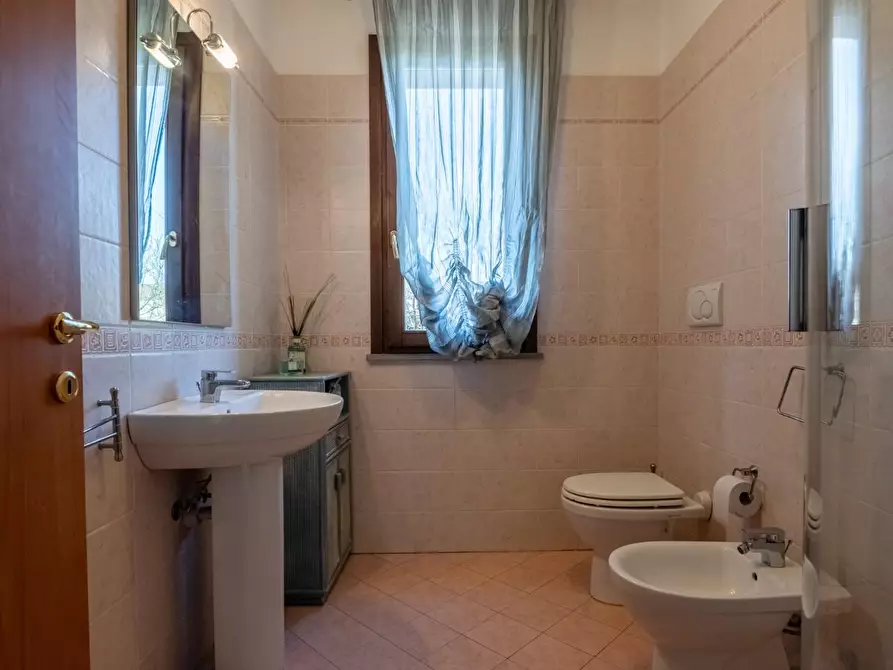 Immagine 13 di Appartamento in vendita  a Buti