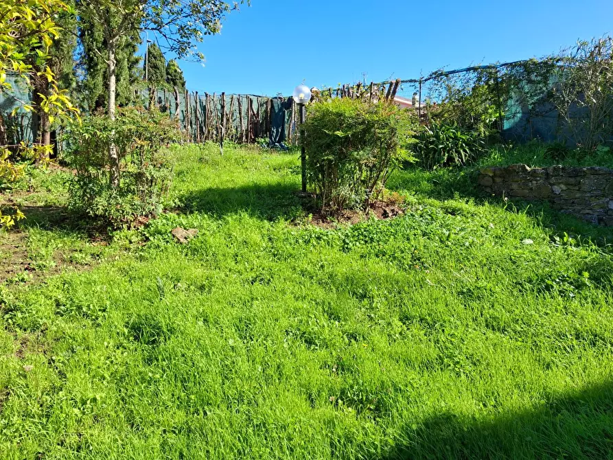 Immagine 1 di Porzione di casa in vendita  a Capraia E Limite