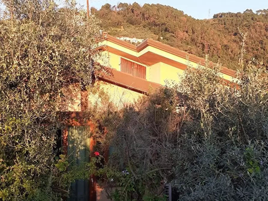 Immagine 32 di Villa in vendita  a Massa