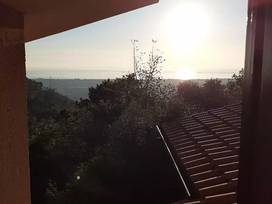 Immagine 4 di Villa in vendita  a Massa