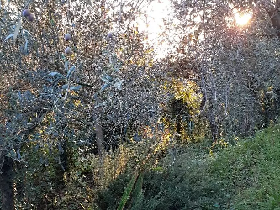 Immagine 33 di Villa in vendita  a Massa