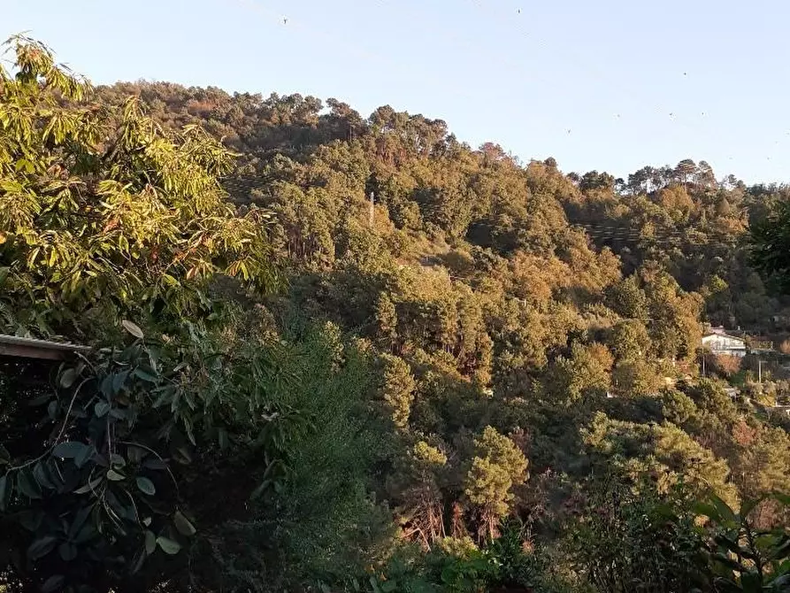 Immagine 17 di Villa in vendita  a Massa