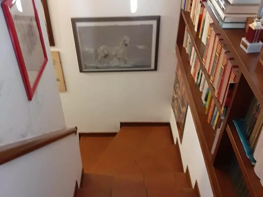 Immagine 6 di Villa in vendita  a Massa