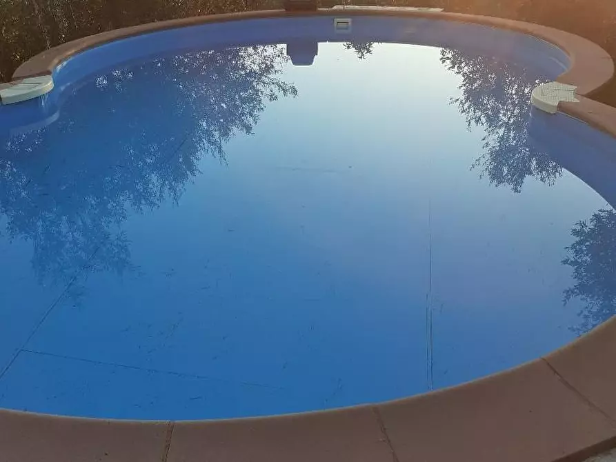 Immagine 18 di Villa in vendita  a Massa