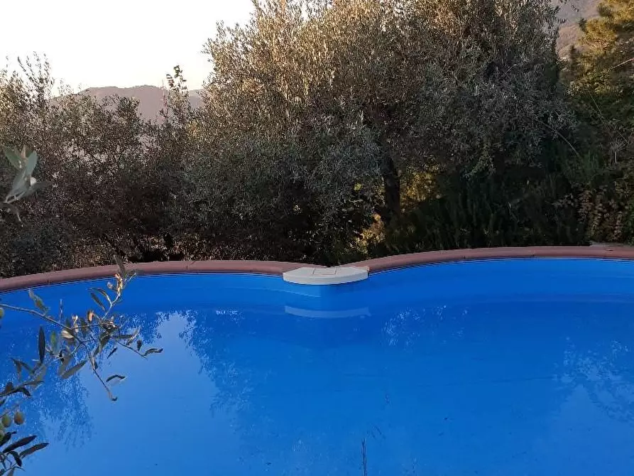 Immagine 3 di Villa in vendita  a Massa