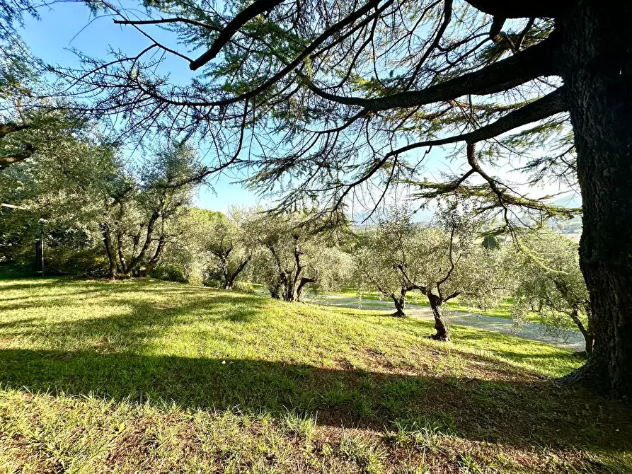 Immagine 43 di Villa in vendita  a Lucca