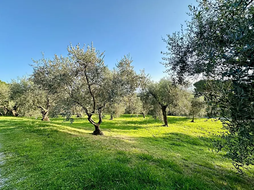 Immagine 44 di Villa in vendita  a Lucca